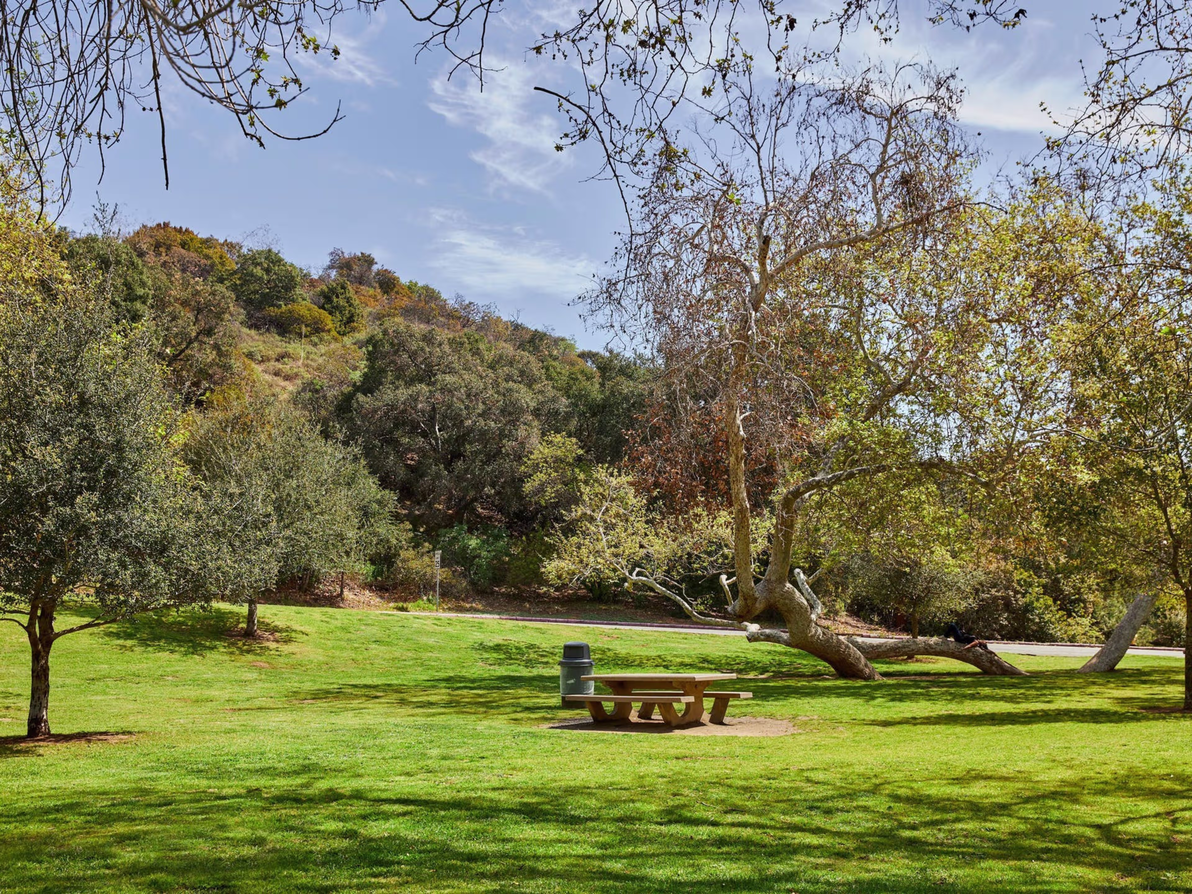 Sunny picnic setting at Mineral Wells in Griffith Park